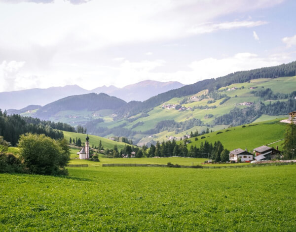 Services Services 05